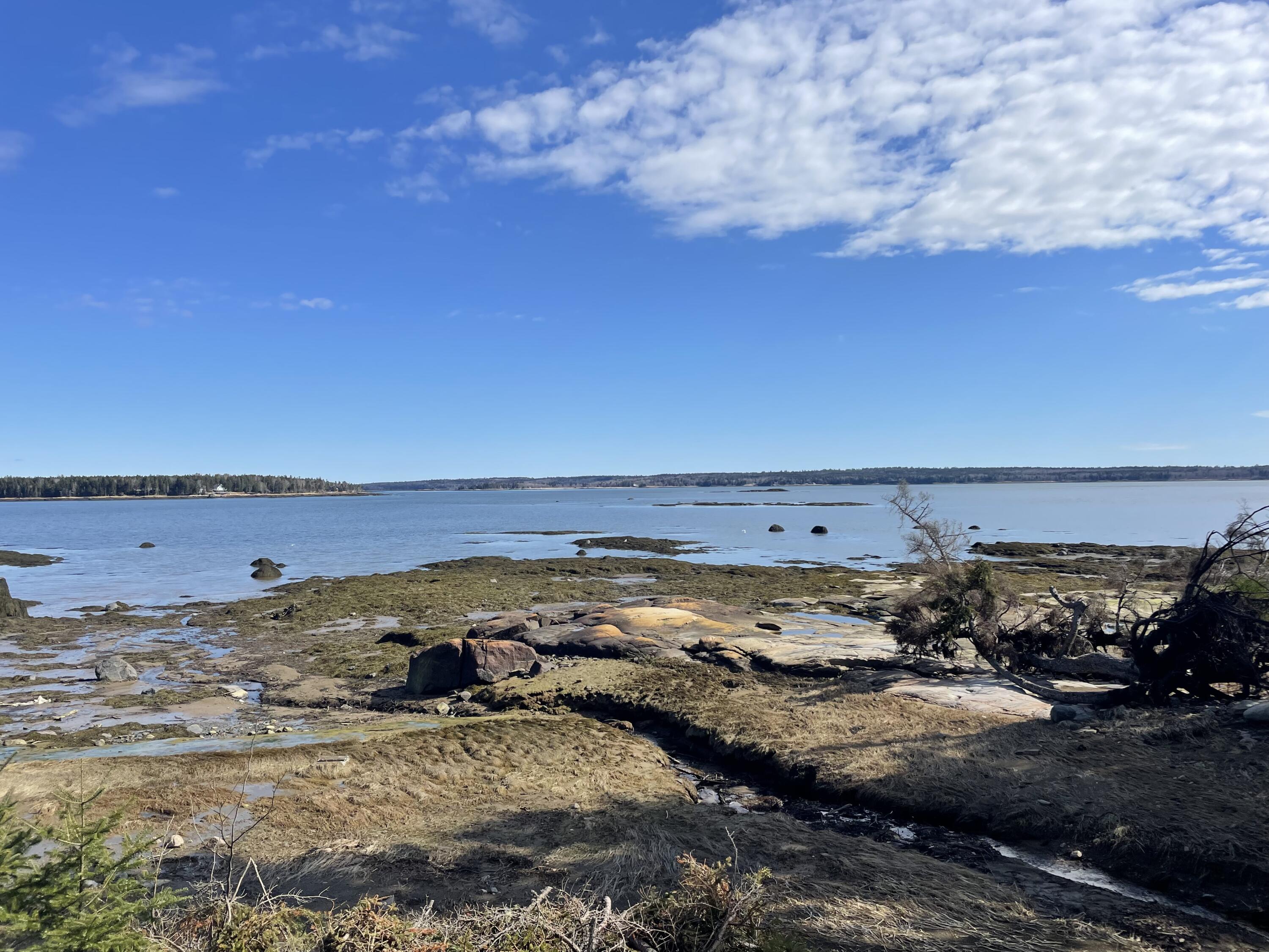 45 Maple Leaf Drive Gouldsboro ME 04607