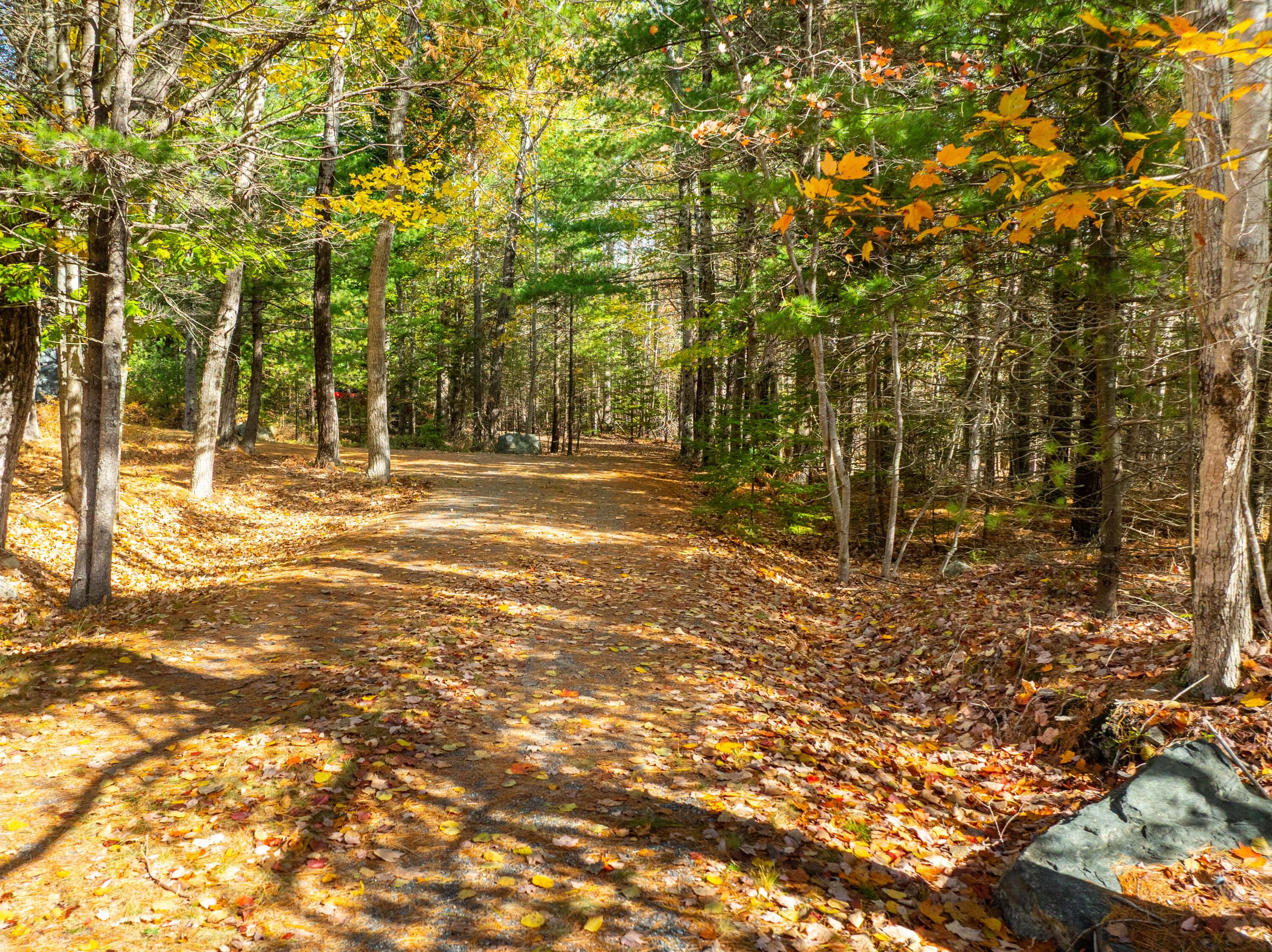 12 Hall Quarry Road Mount Desert ME 04660