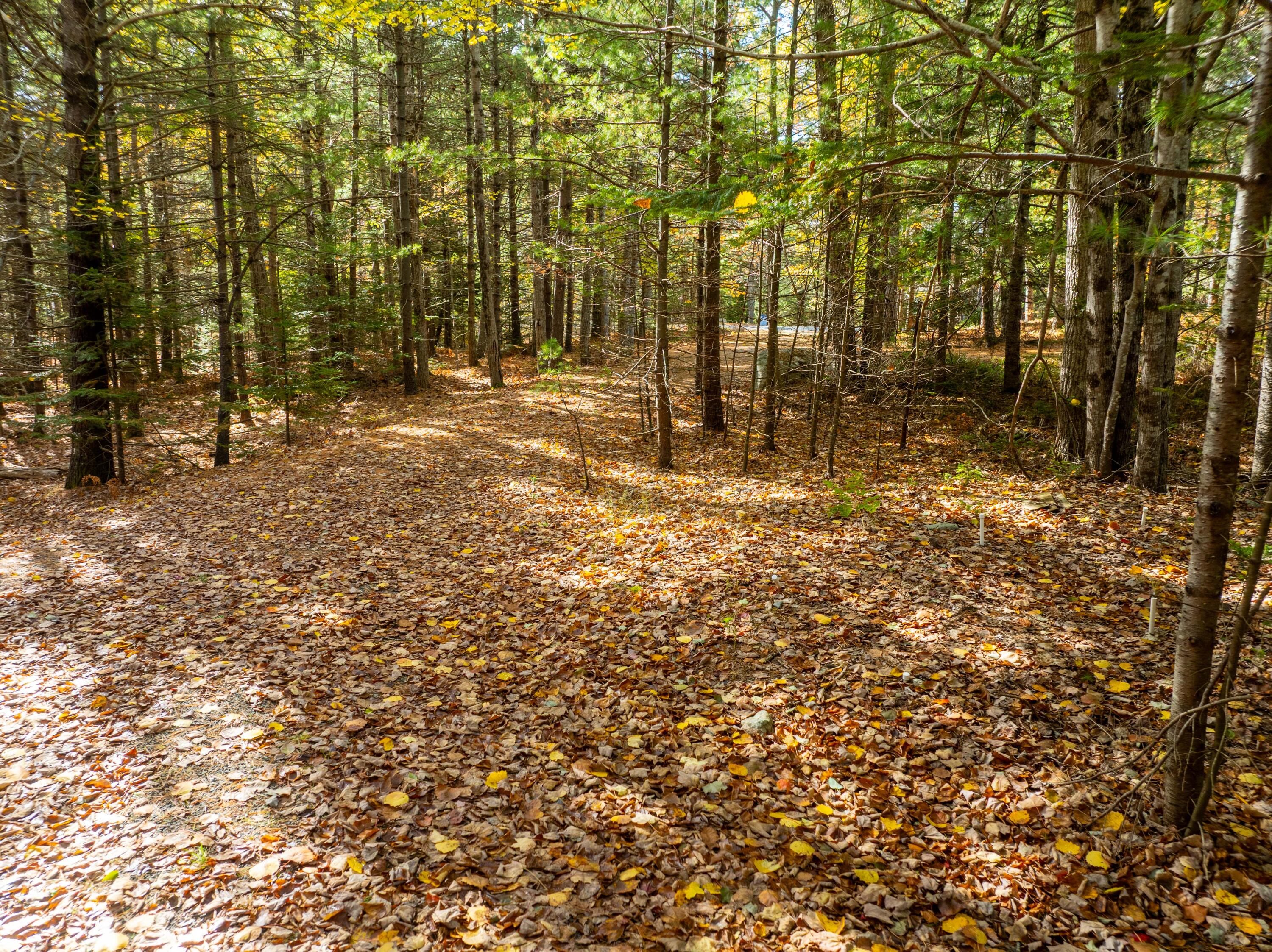 12 Hall Quarry Road Mount Desert ME 04660