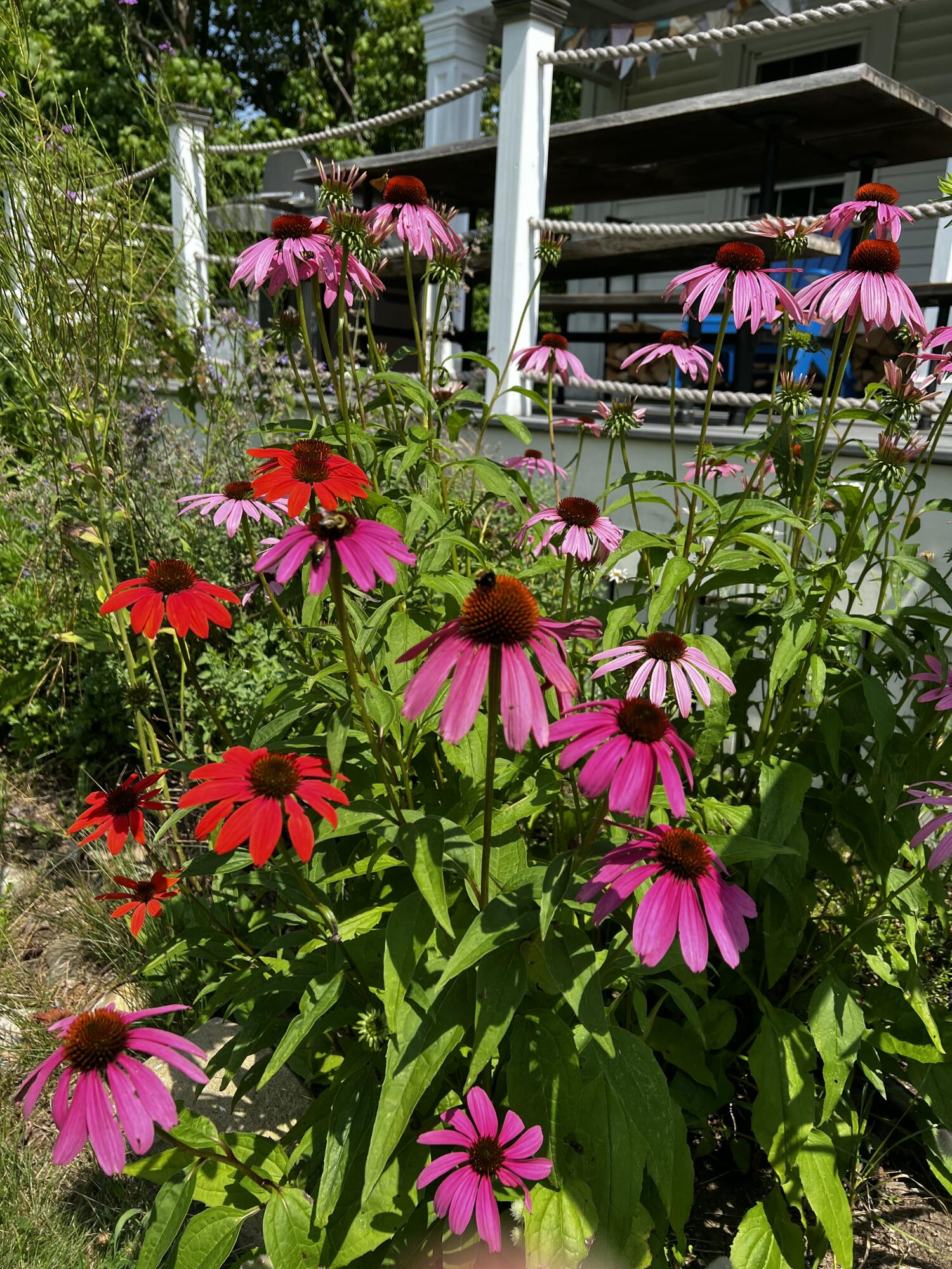 923 Harpswell Neck Road Harpswell ME 04079