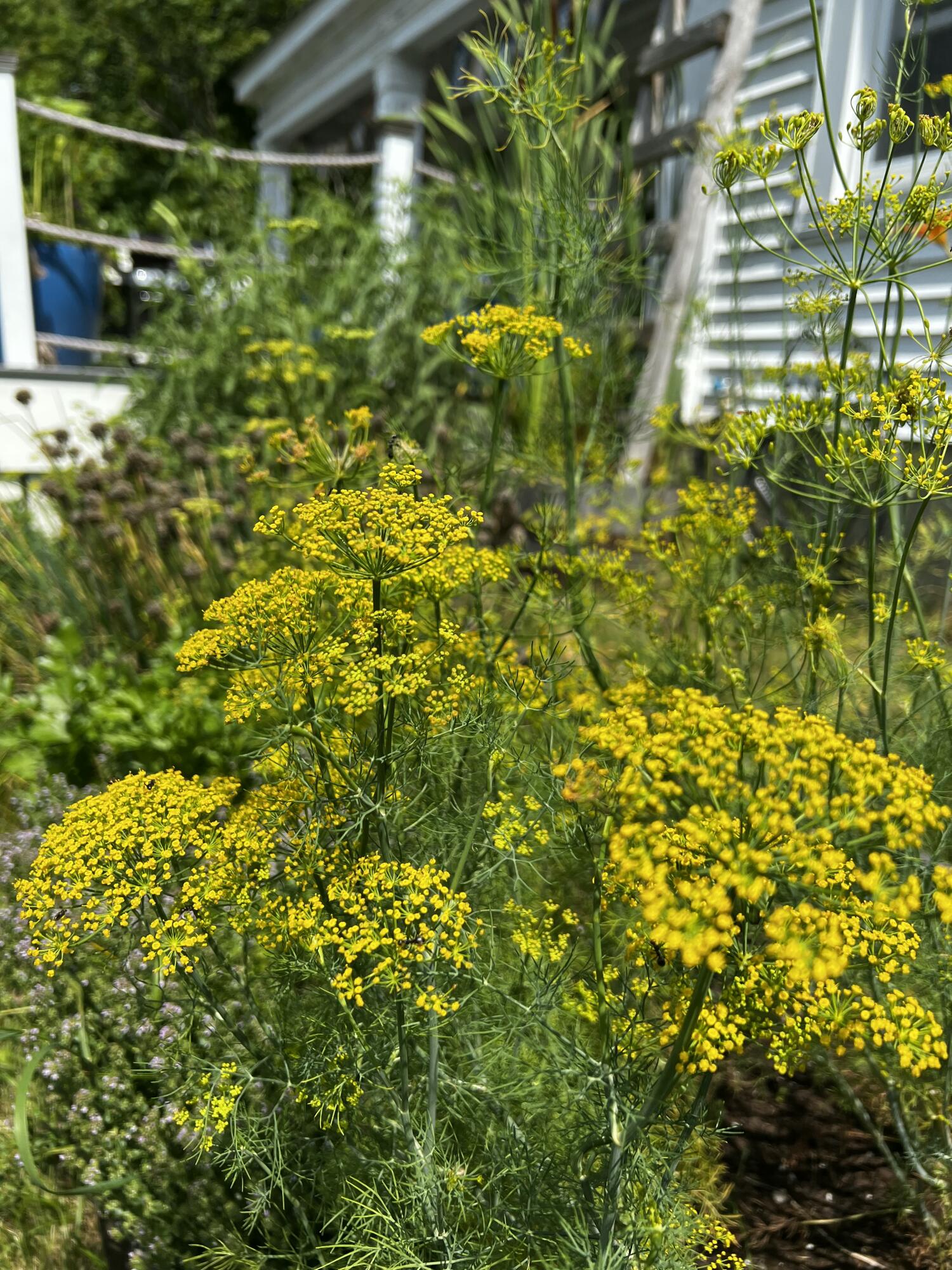 923 Harpswell Neck Road Harpswell ME 04079