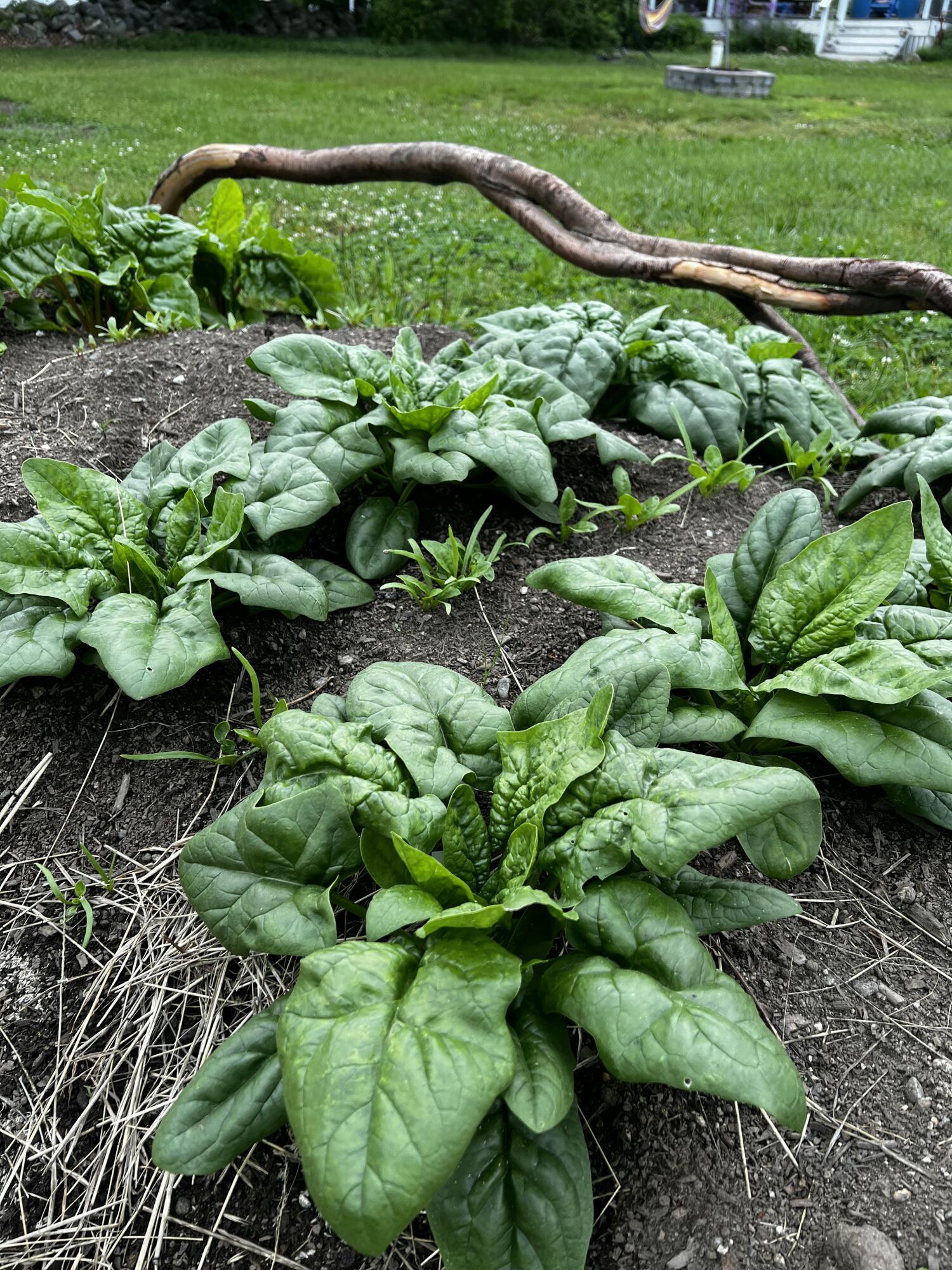 923 Harpswell Neck Road Harpswell ME 04079