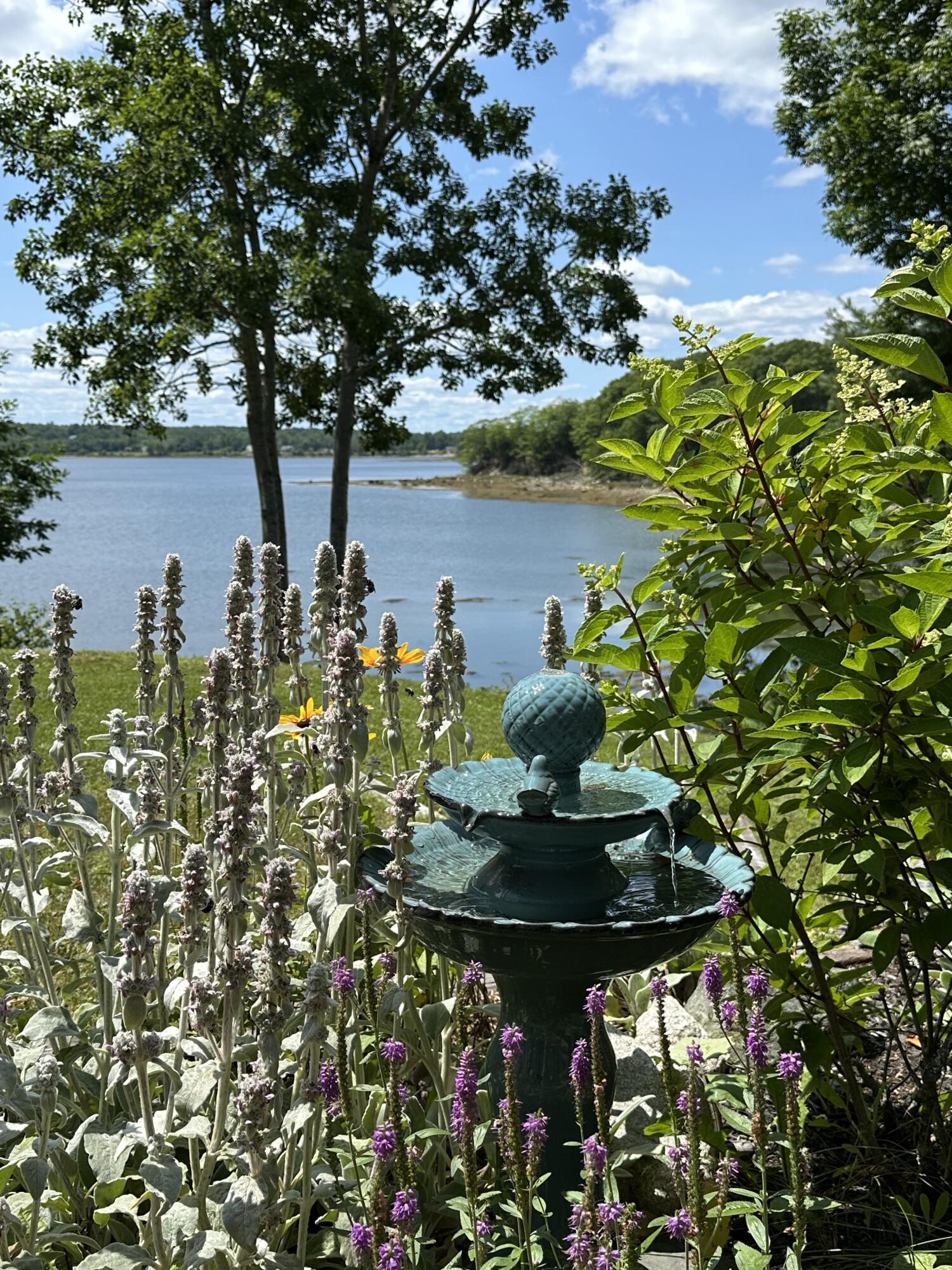 95 Osprey Reach Road Stockton Springs ME 04981