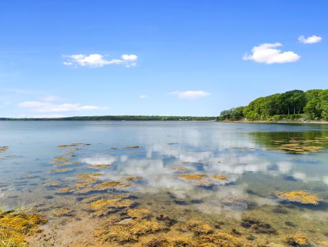 95 Osprey Reach Road Stockton Springs ME 04981