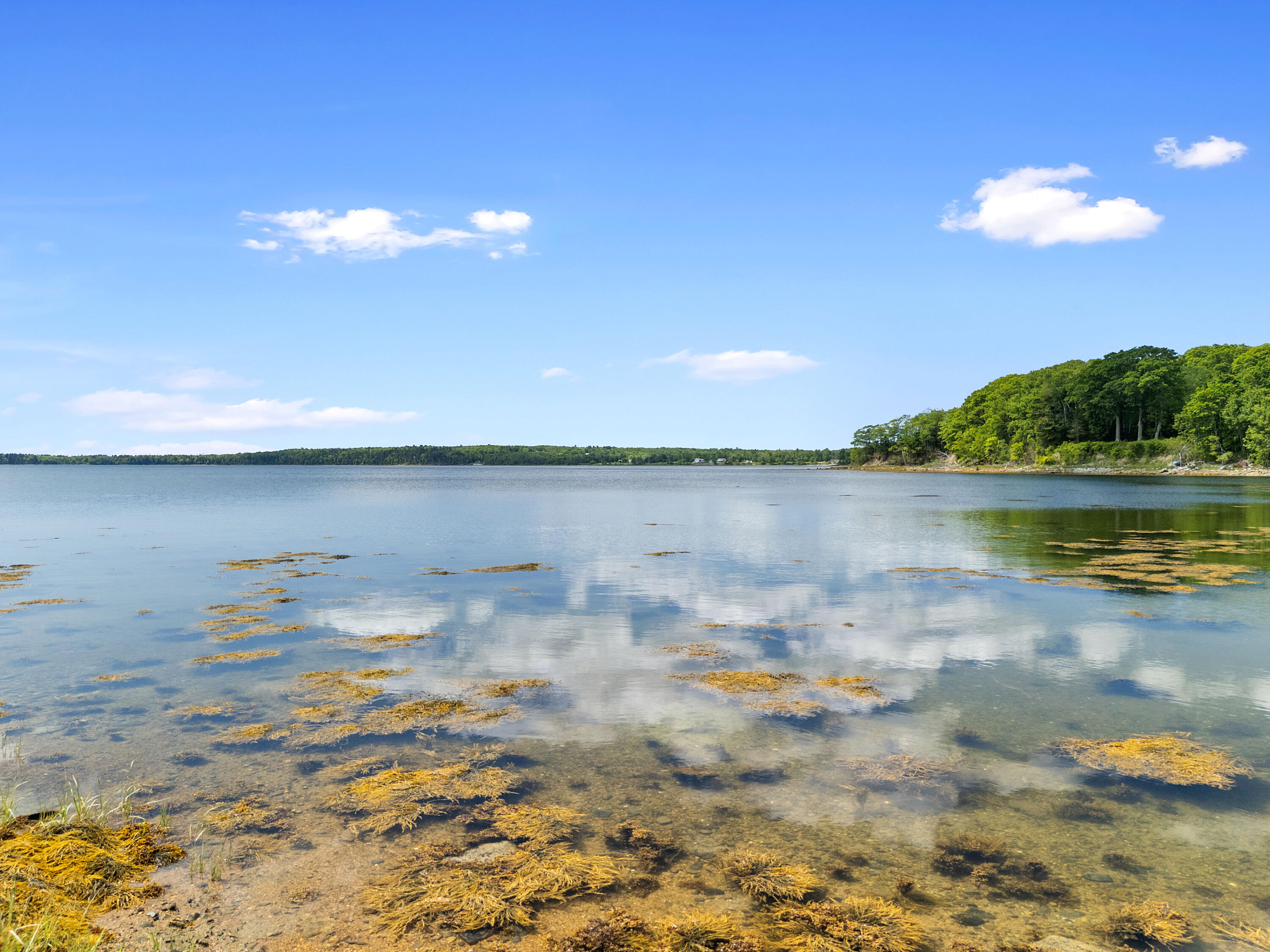 95 Osprey Reach Road Stockton Springs ME 04981