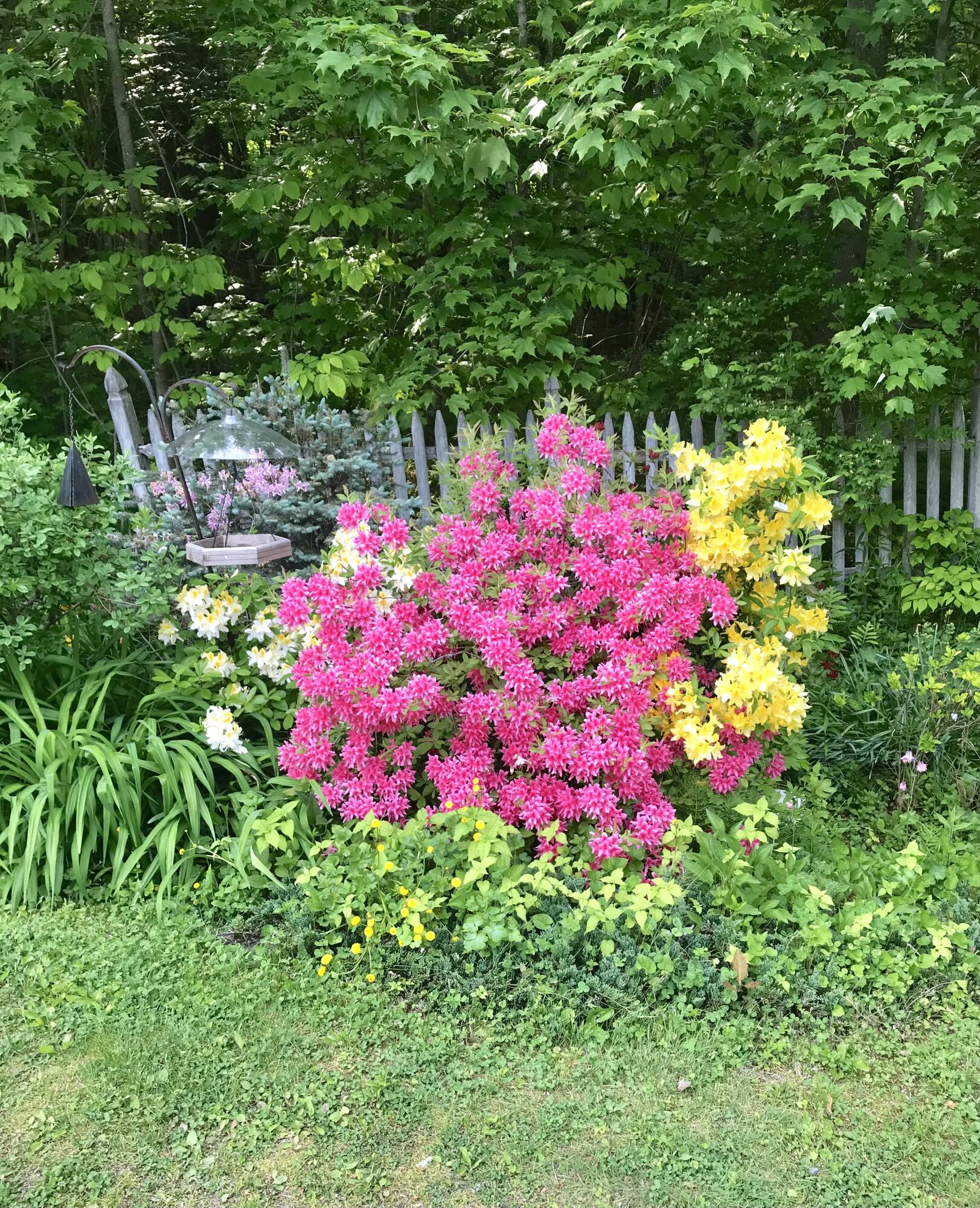 129 Lawrence Road Gray ME 04039