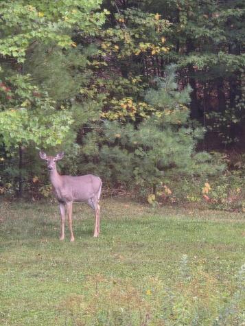 218 S Reynolds Road Winslow ME 04901