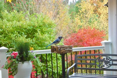 48 Kingsley Farm Road Gouldsboro ME 04607