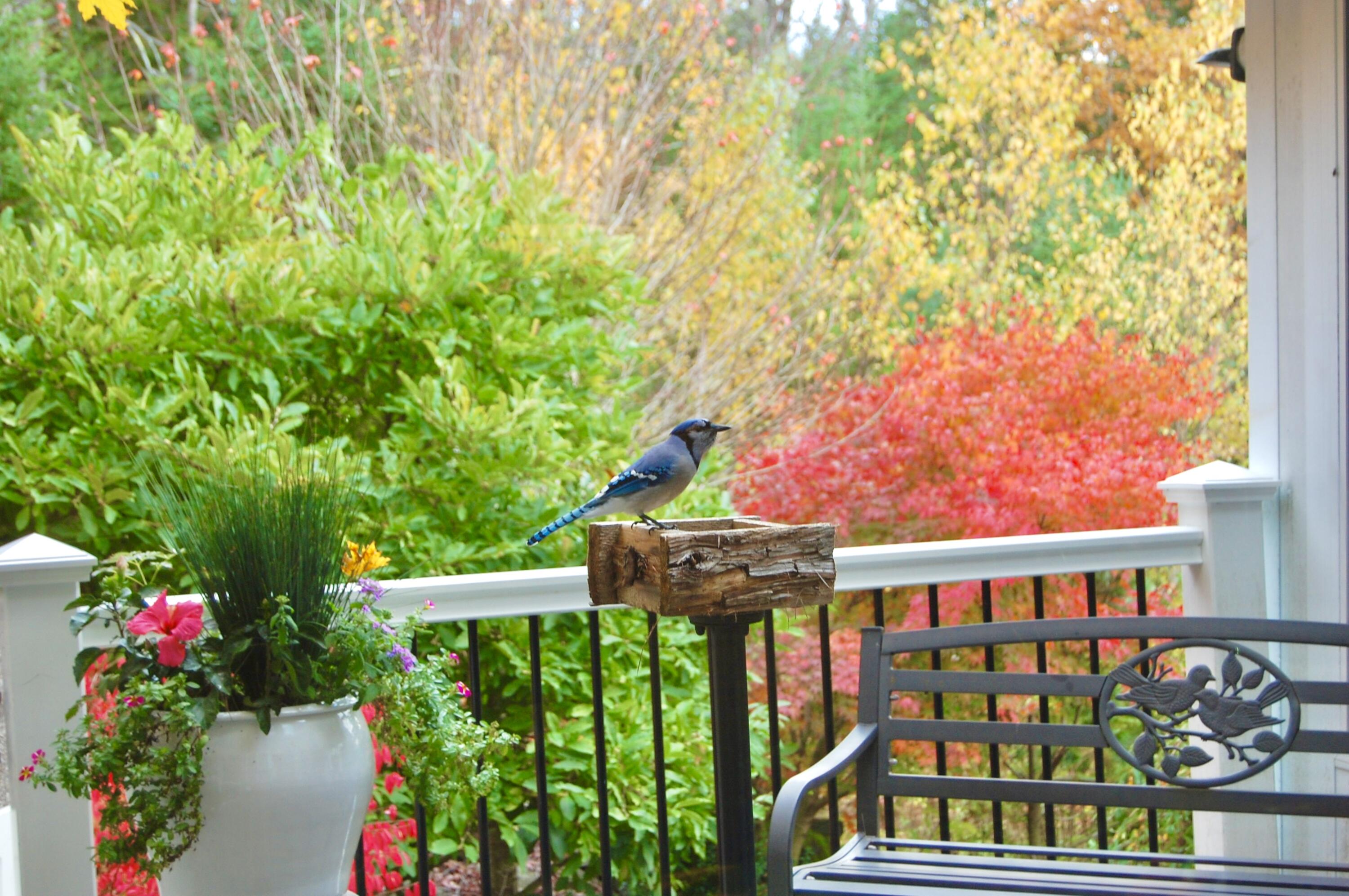 48 Kingsley Farm Road Gouldsboro ME 04607