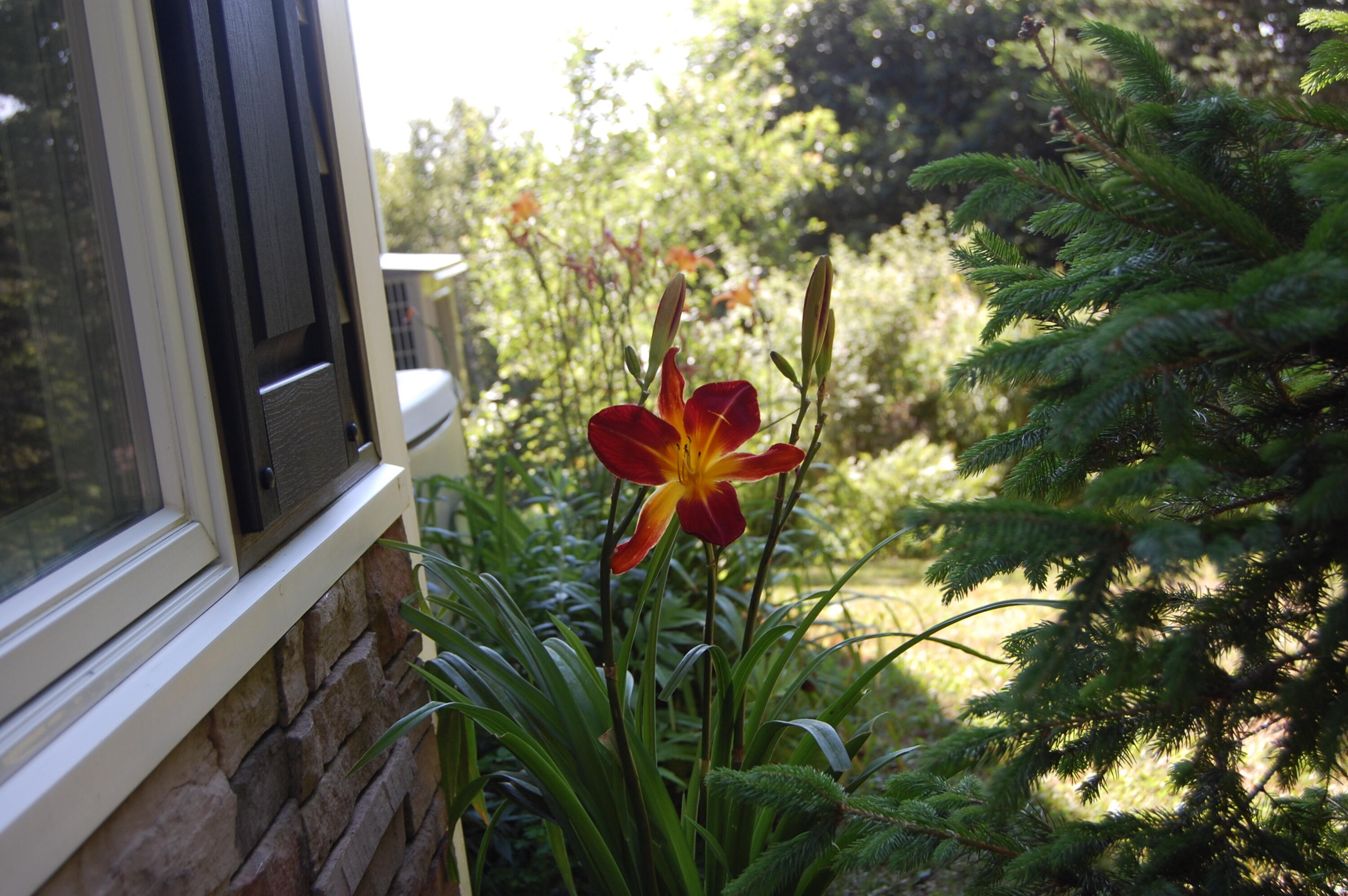 48 Kingsley Farm Road Gouldsboro ME 04607