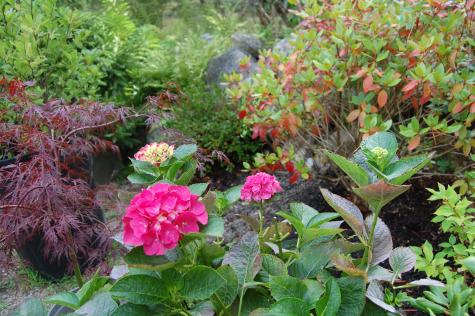 48 Kingsley Farm Road Gouldsboro ME 04607