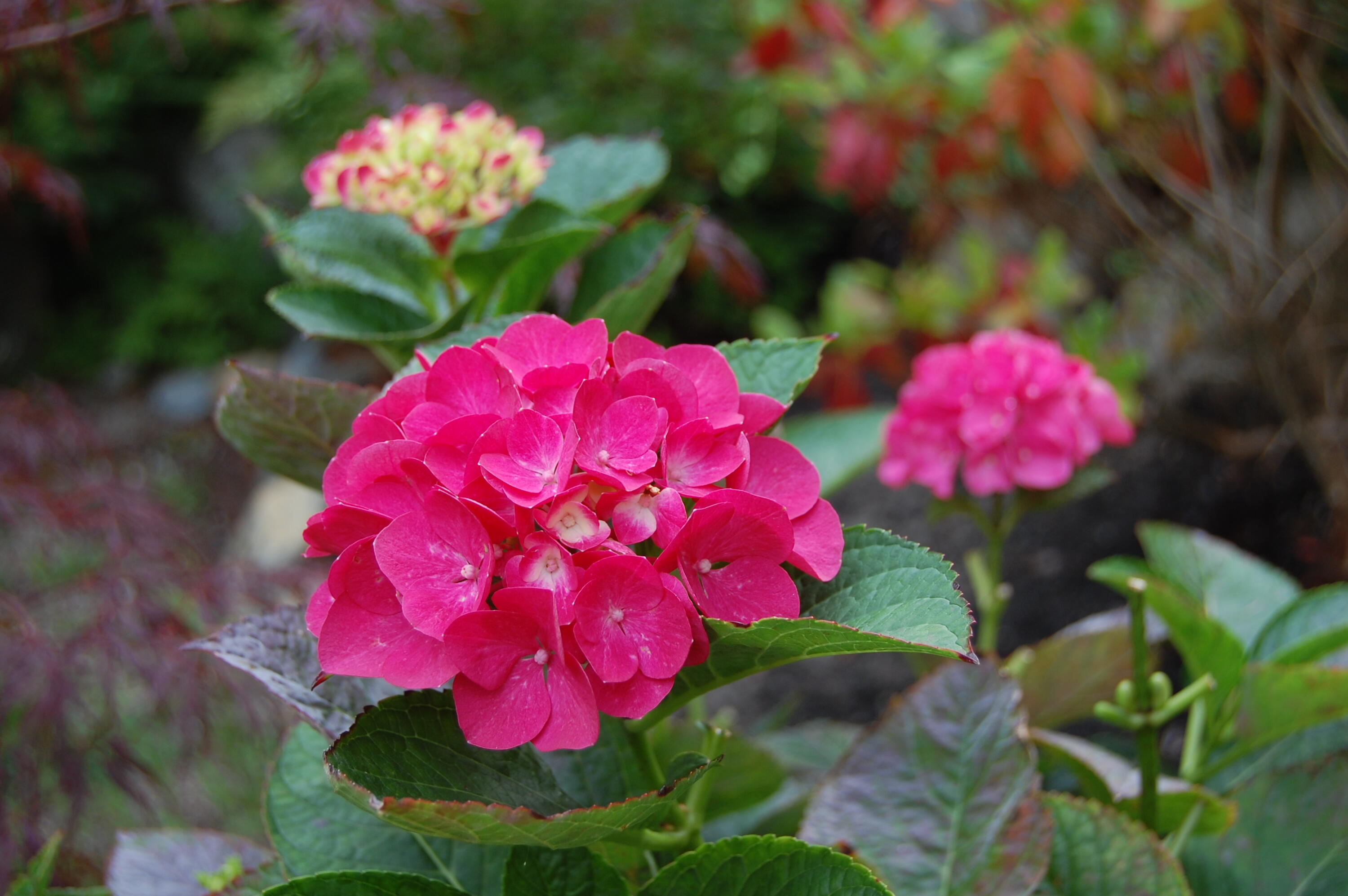 48 Kingsley Farm Road Gouldsboro ME 04607