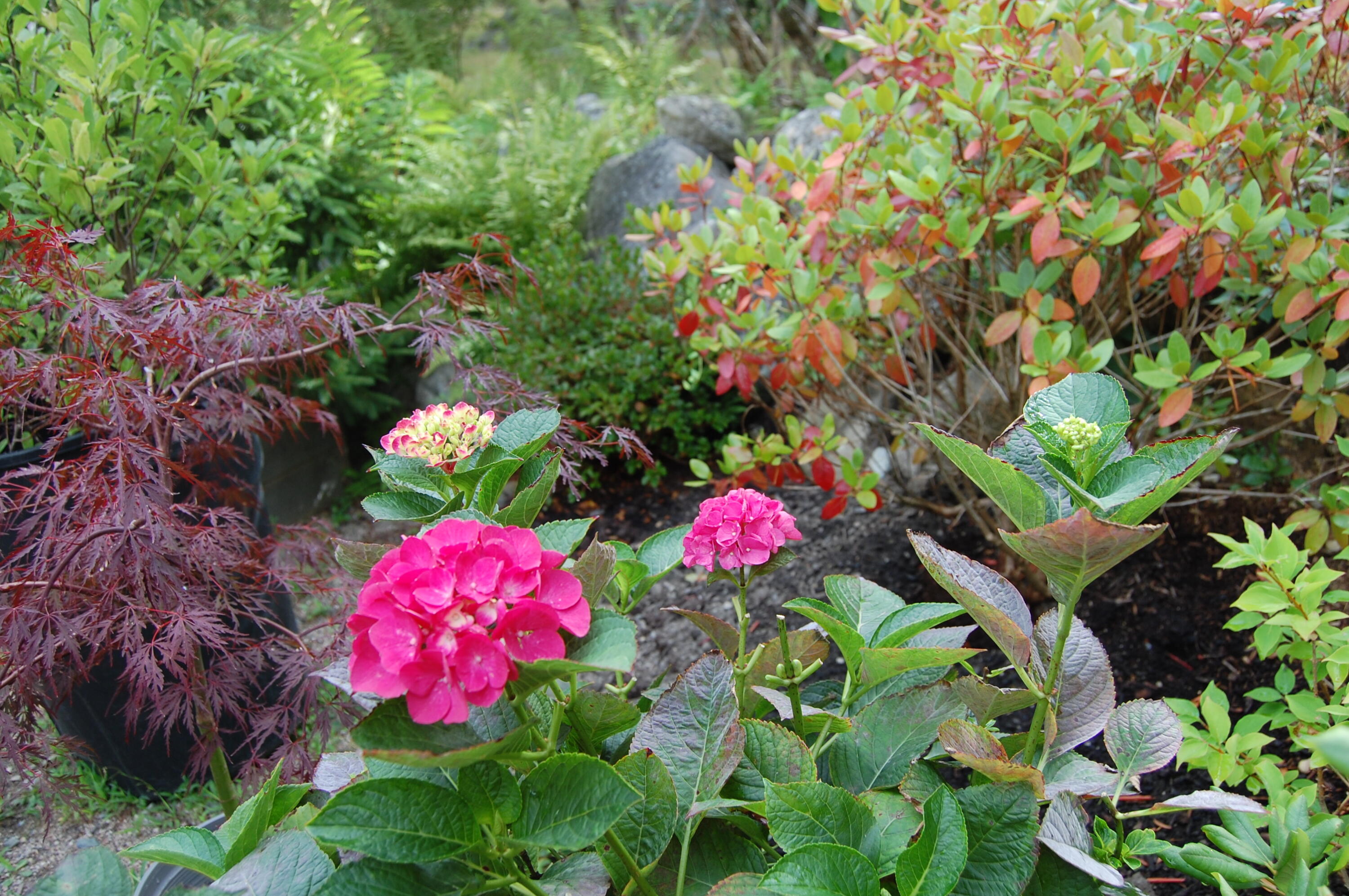 48 Kingsley Farm Road Gouldsboro ME 04607