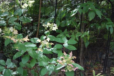 48 Kingsley Farm Road Gouldsboro ME 04607