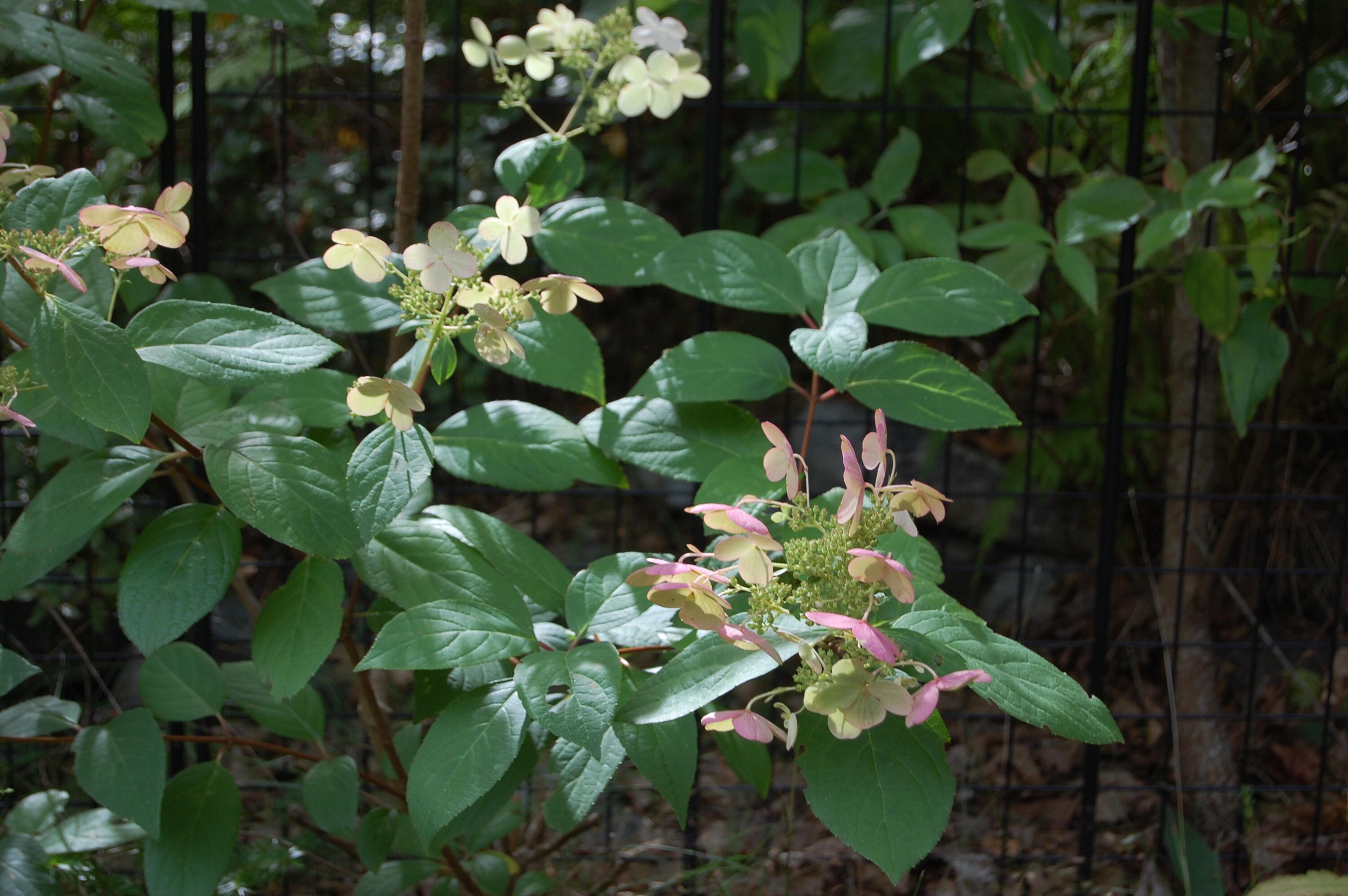 48 Kingsley Farm Road Gouldsboro ME 04607