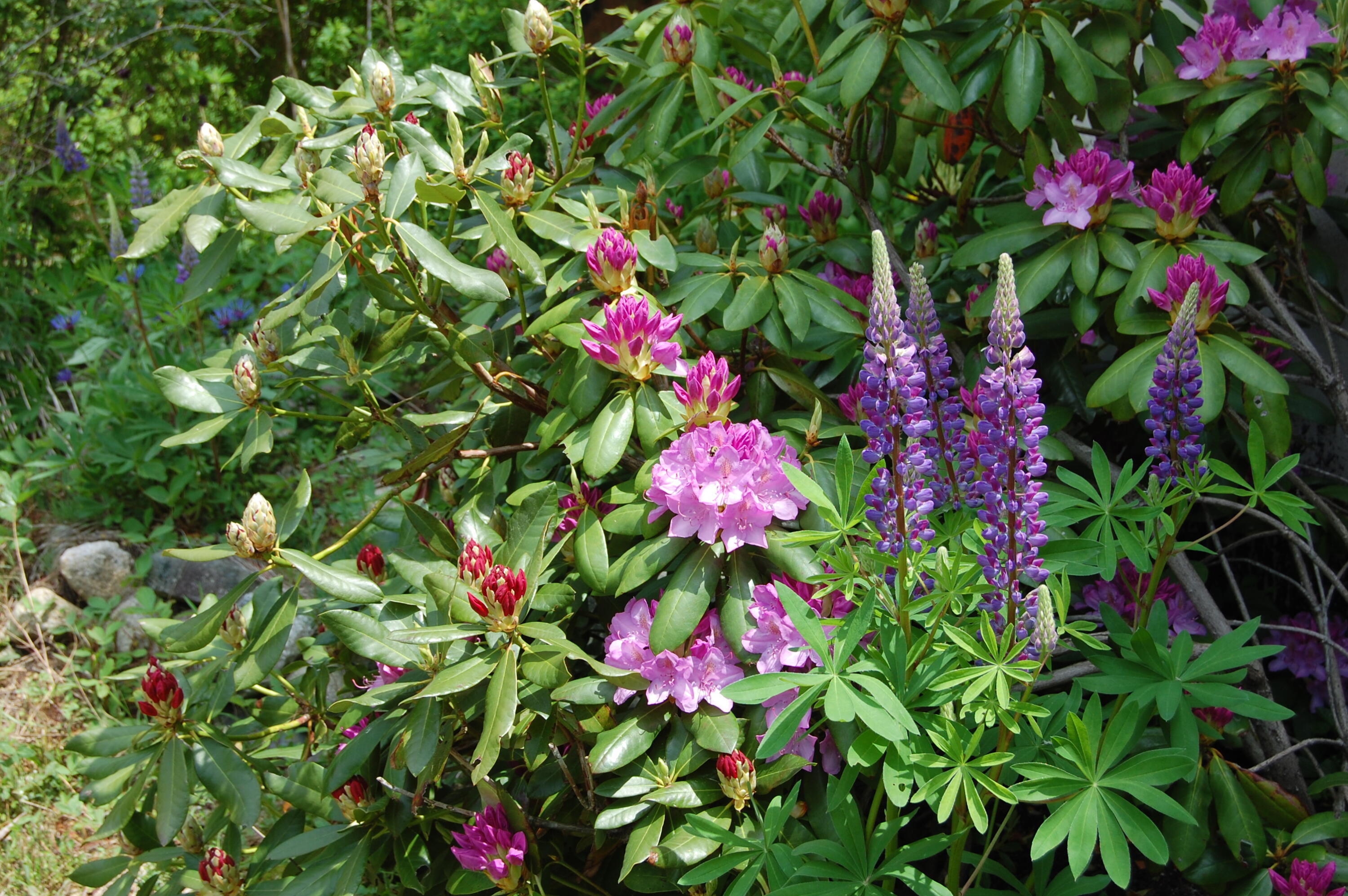 48 Kingsley Farm Road Gouldsboro ME 04607