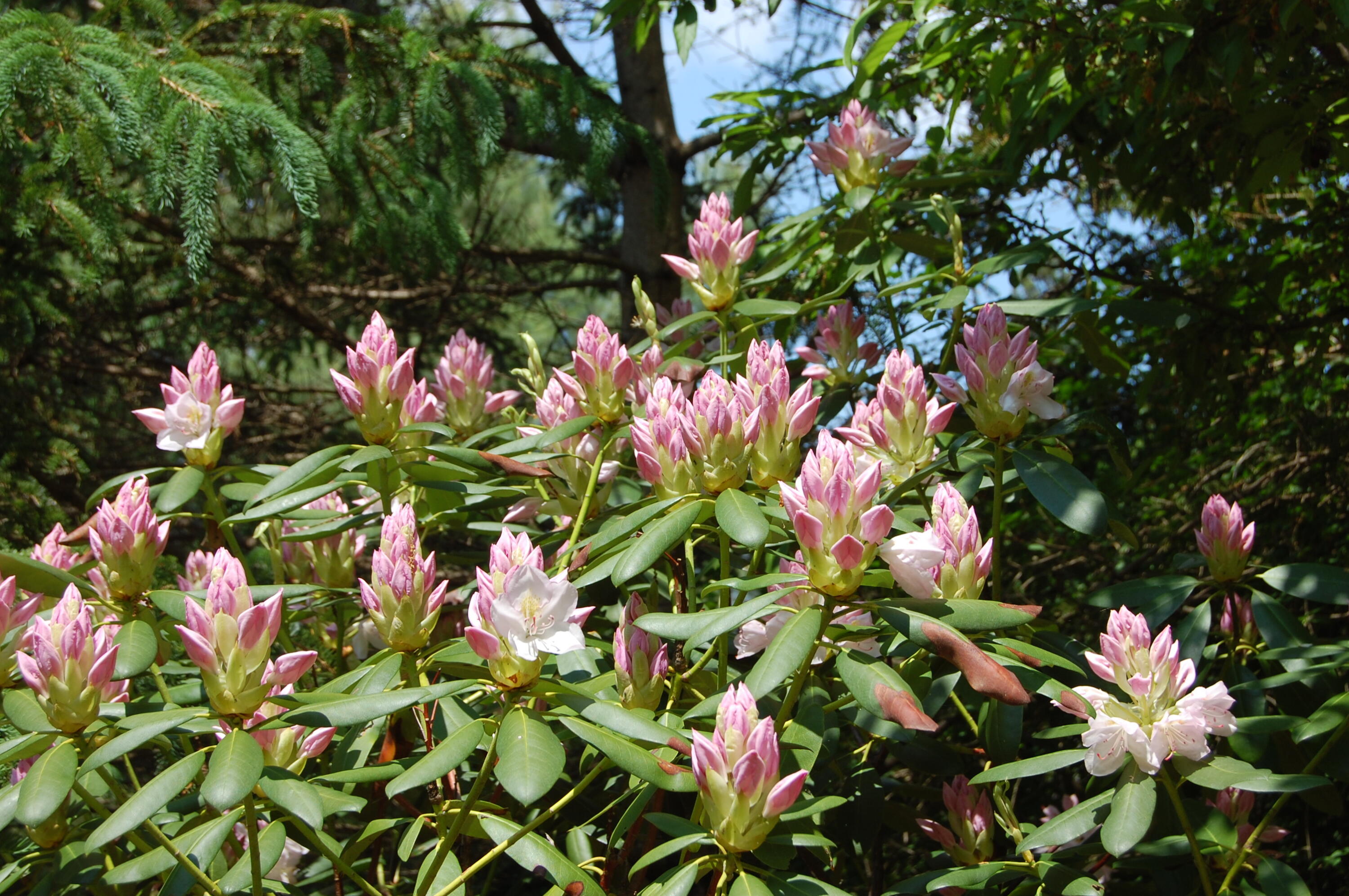 48 Kingsley Farm Road Gouldsboro ME 04607