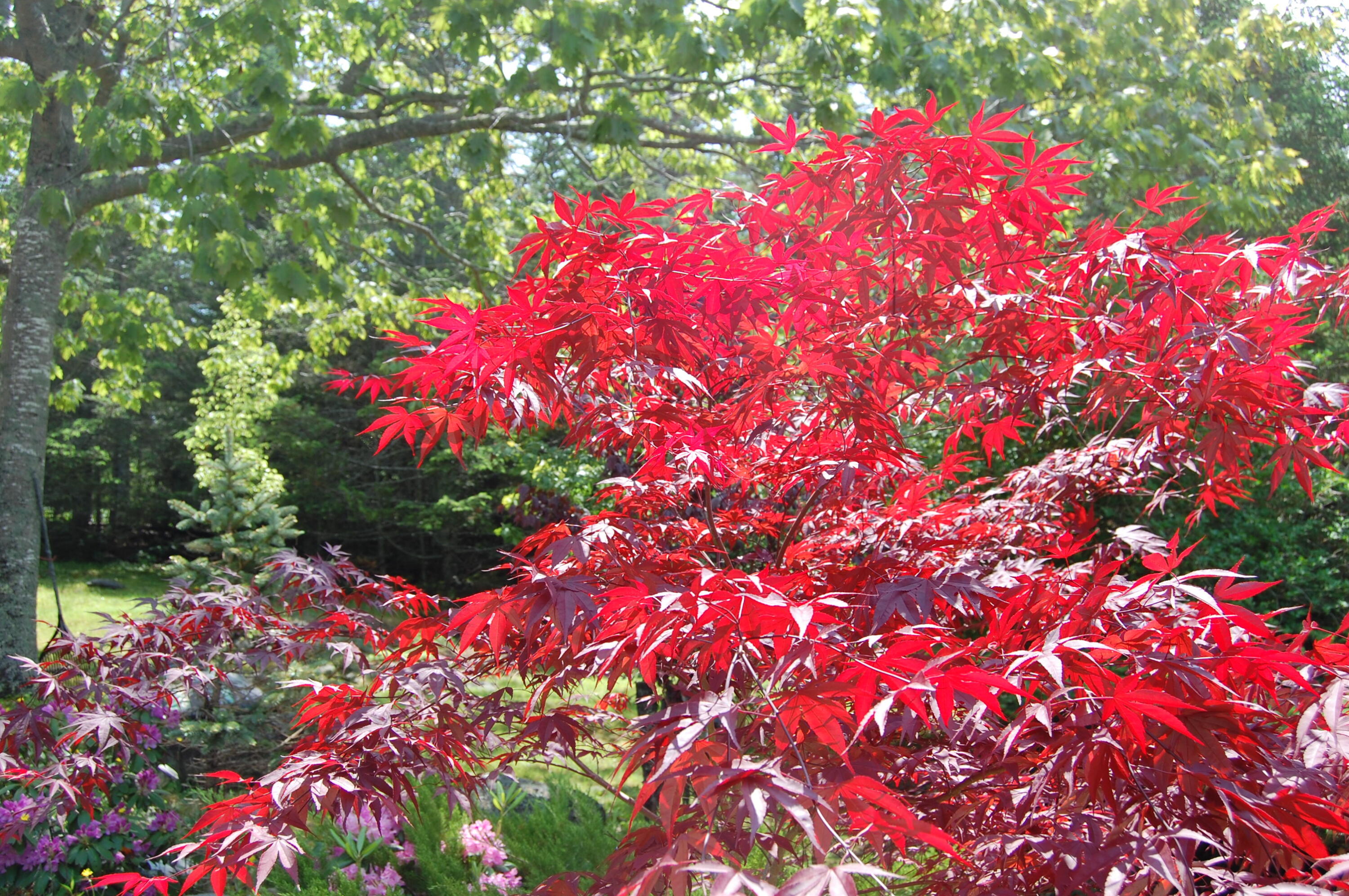 48 Kingsley Farm Road Gouldsboro ME 04607