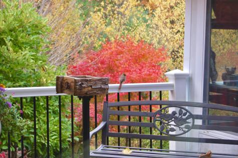 48 Kingsley Farm Road Gouldsboro ME 04607