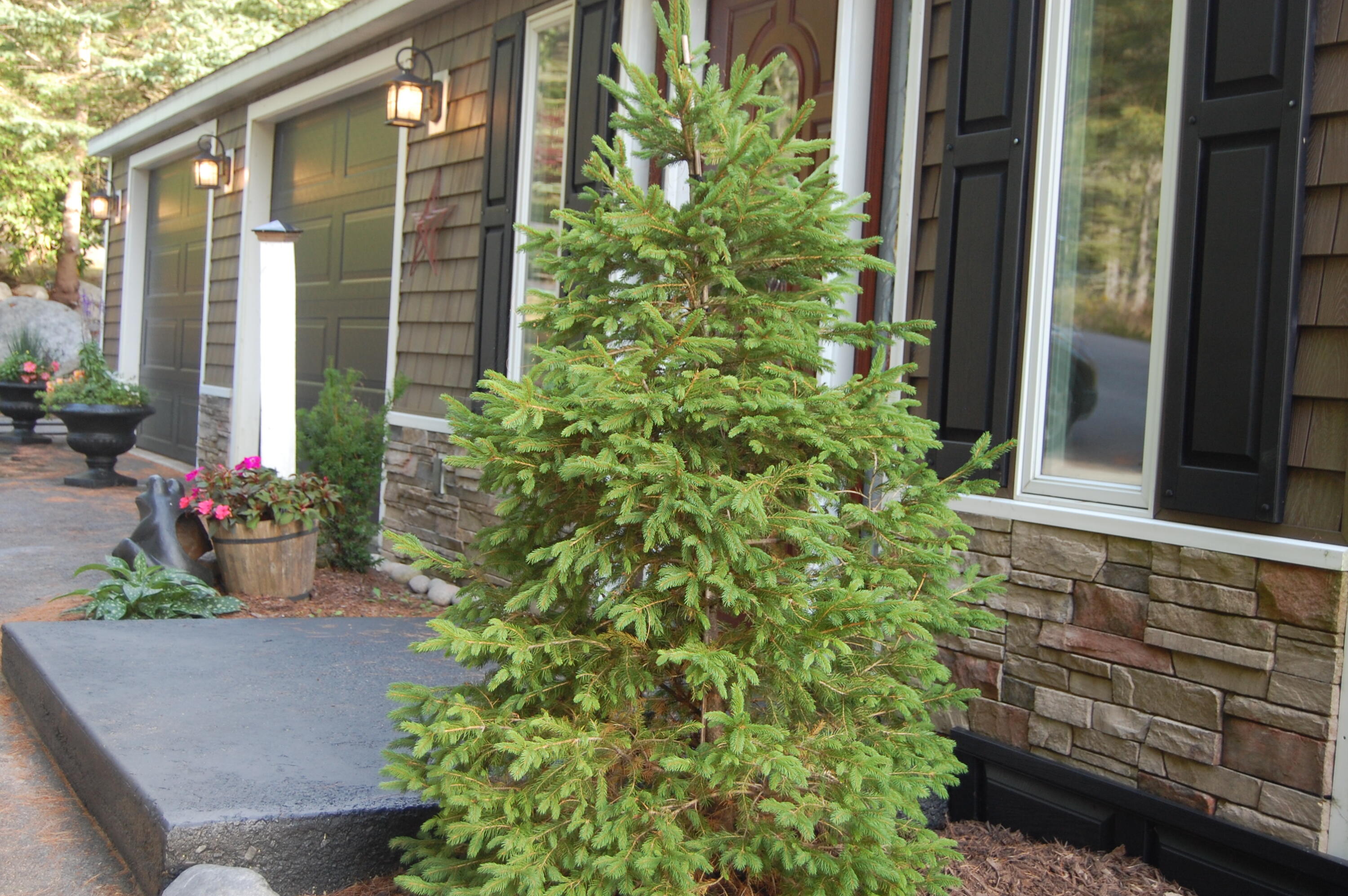 48 Kingsley Farm Road Gouldsboro ME 04607