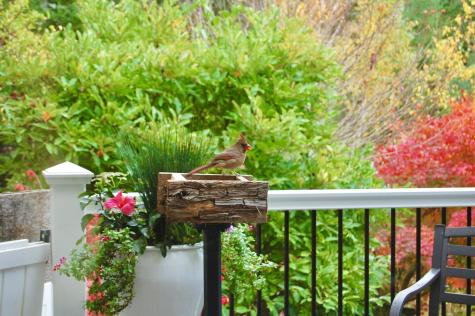 48 Kingsley Farm Road Gouldsboro ME 04607