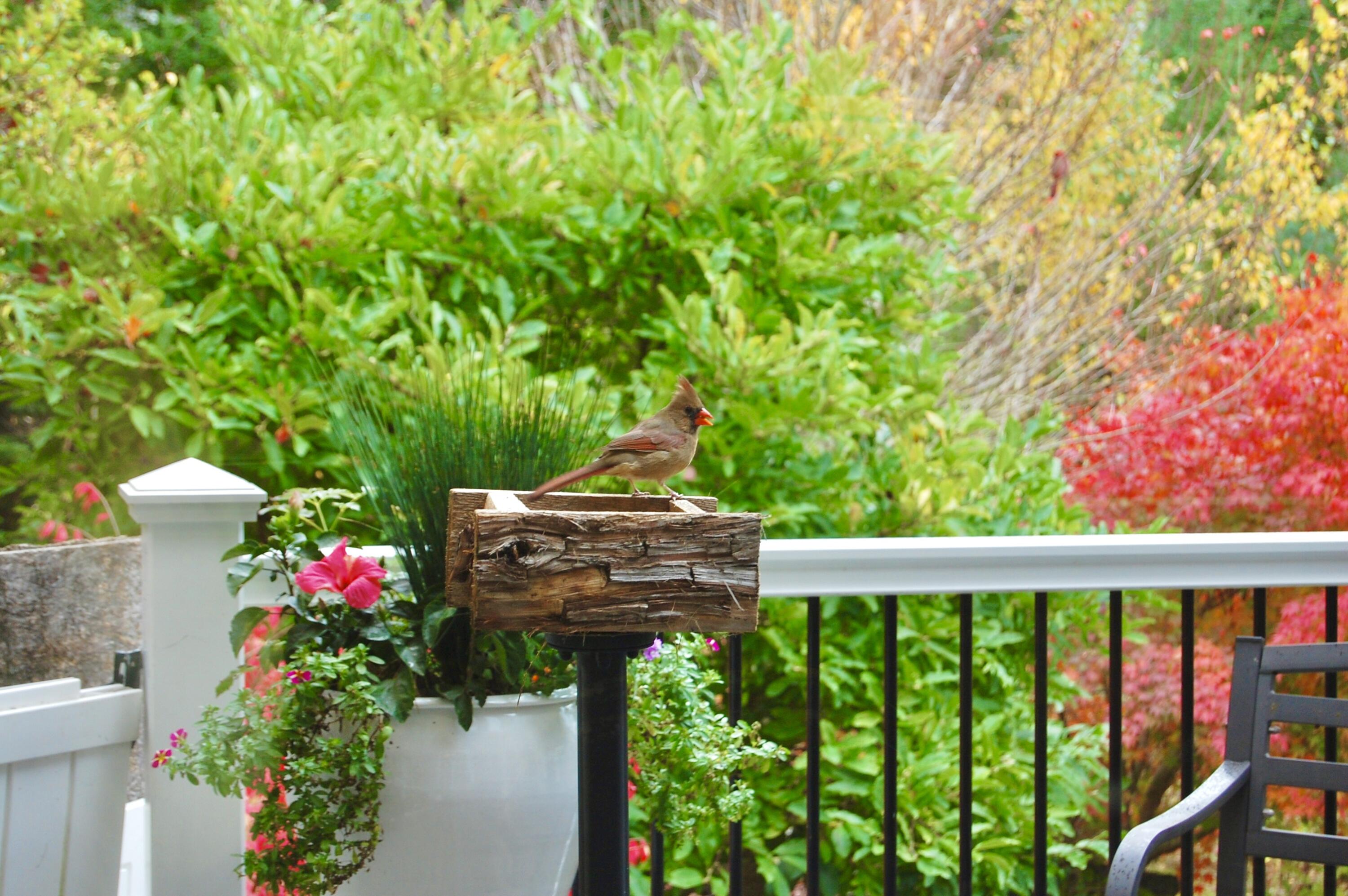 48 Kingsley Farm Road Gouldsboro ME 04607