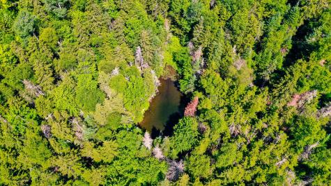 138 Bray Hill Road Phillips ME 04966