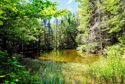 138 Bray Hill Road Phillips ME 04966