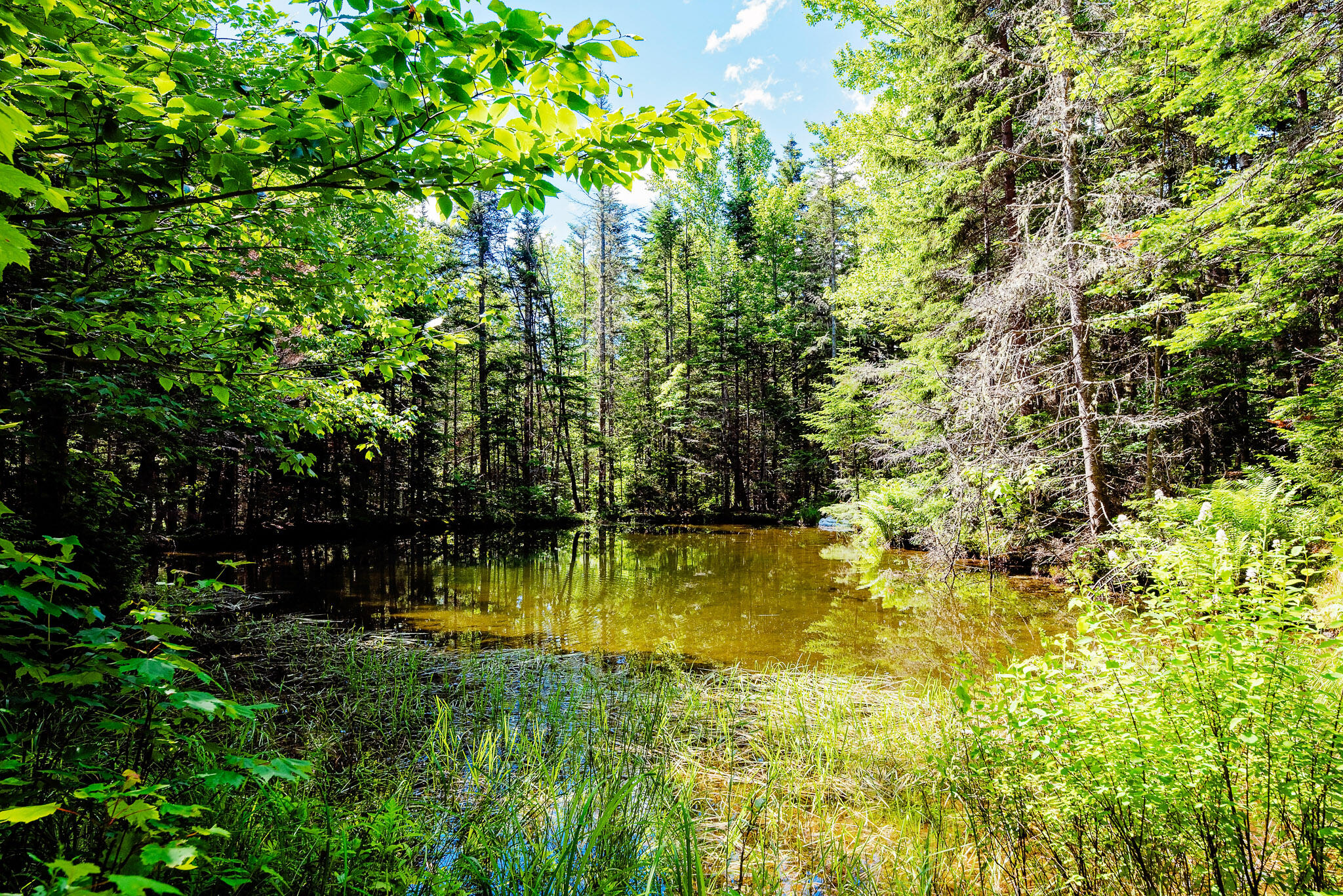 138 Bray Hill Road Phillips ME 04966