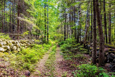 138 Bray Hill Road Phillips ME 04966