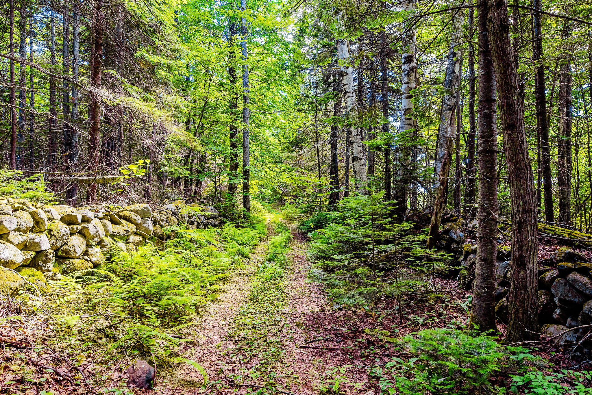 138 Bray Hill Road Phillips ME 04966