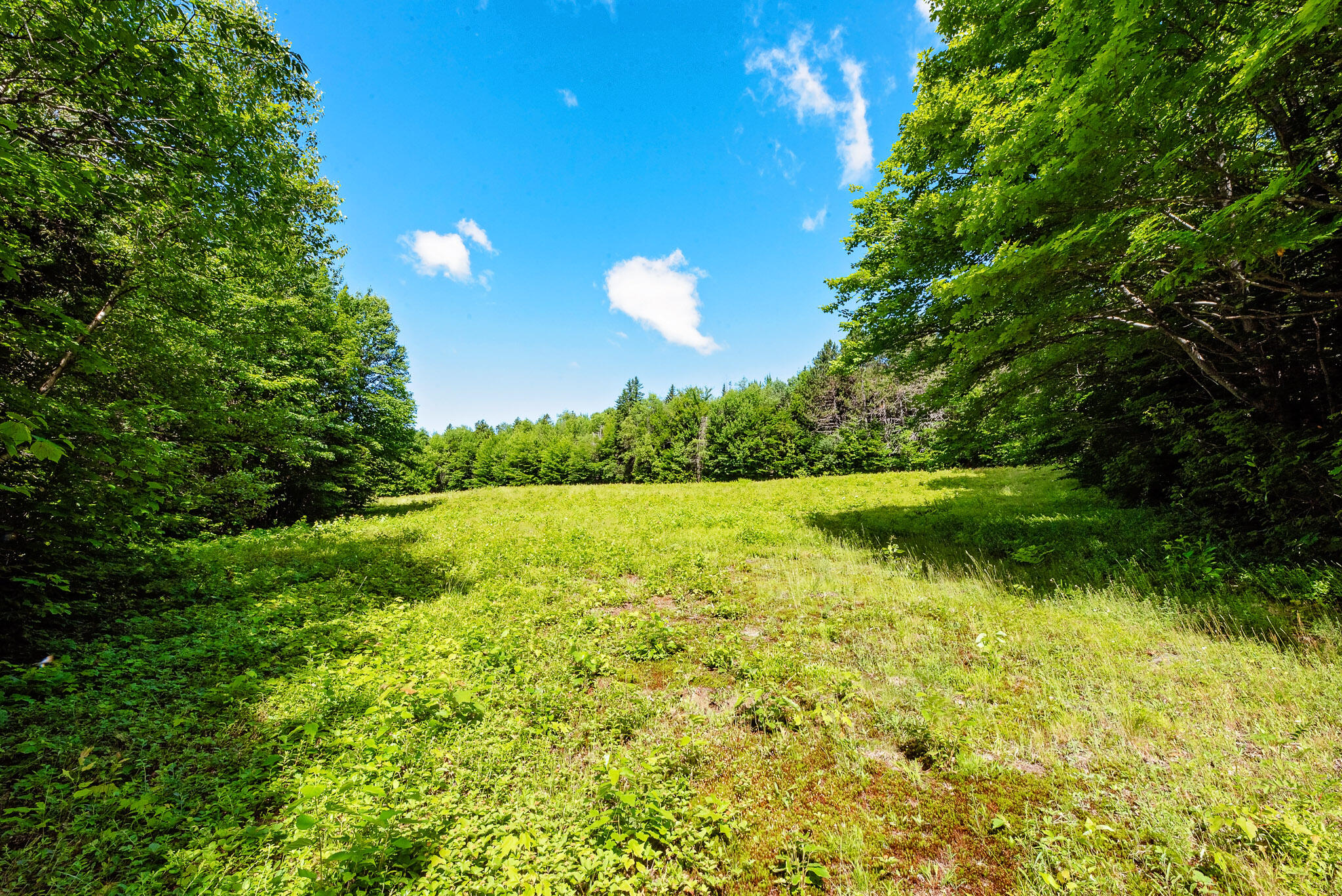 138 Bray Hill Road Phillips ME 04966