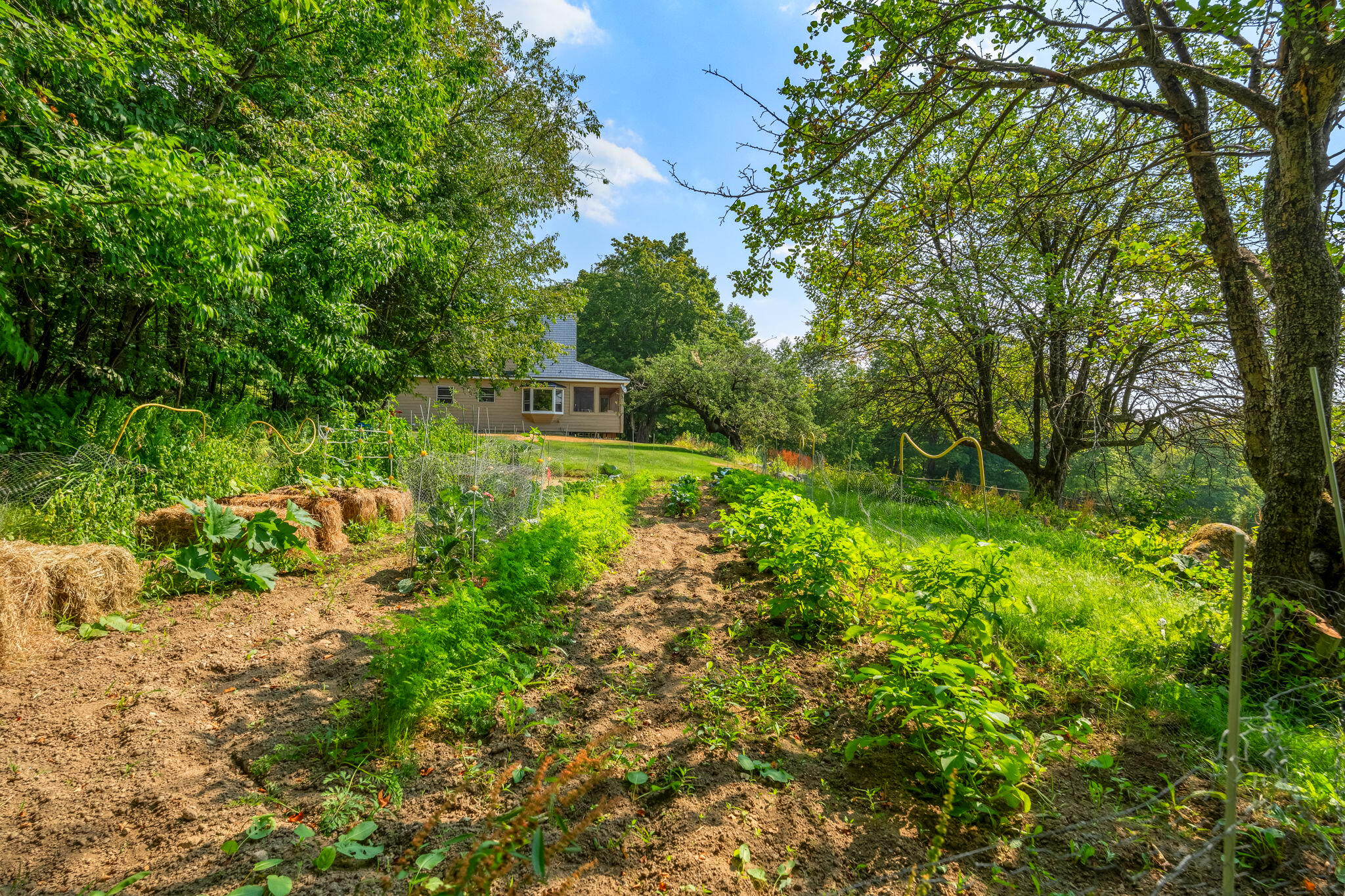 138 Bray Hill Road Phillips ME 04966