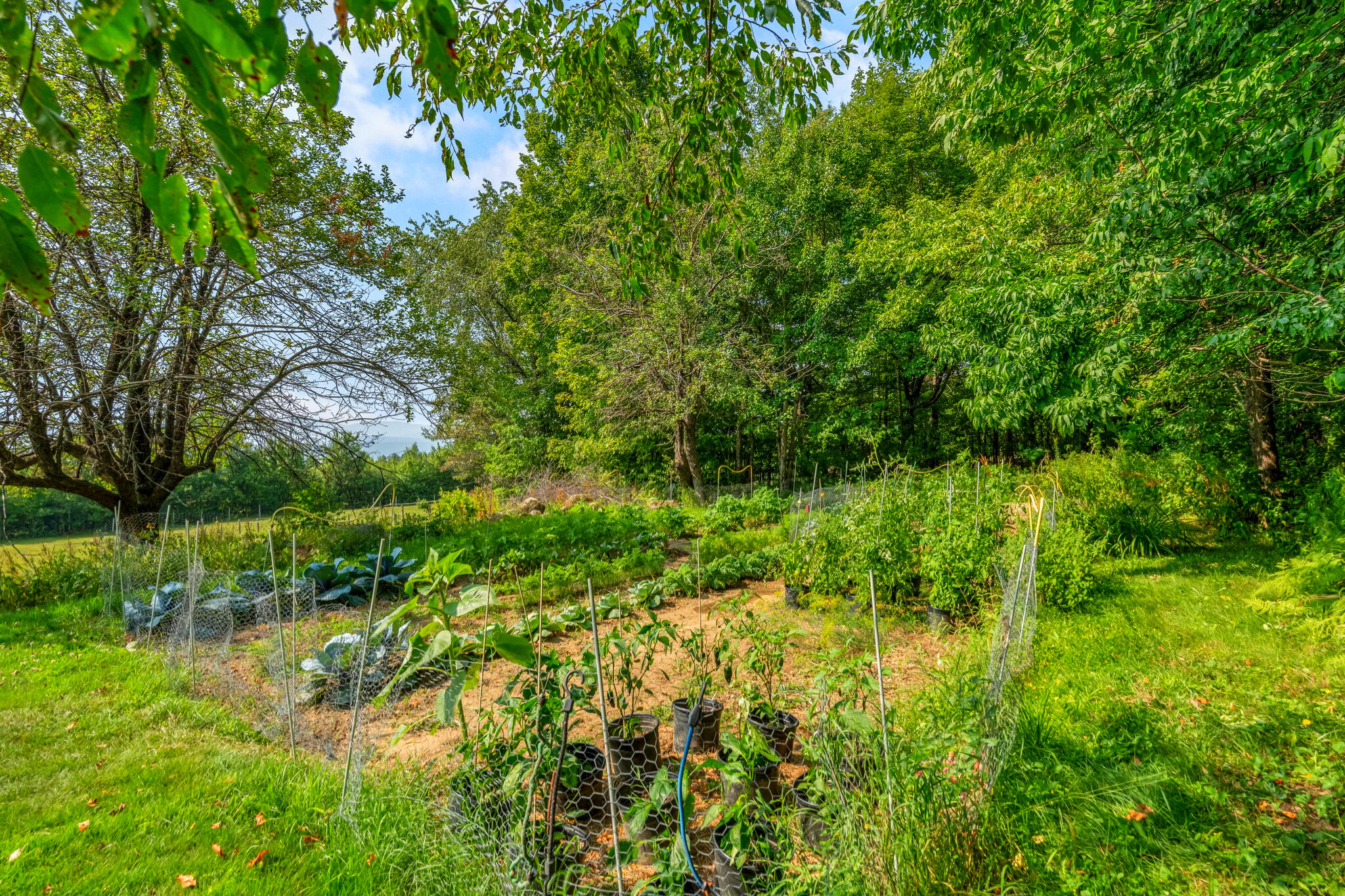 138 Bray Hill Road Phillips ME 04966