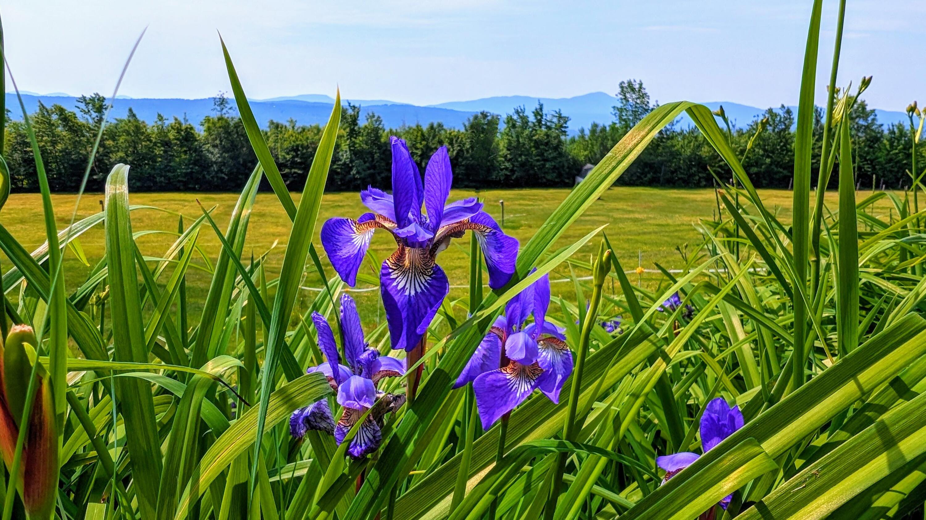 138 Bray Hill Road Phillips ME 04966