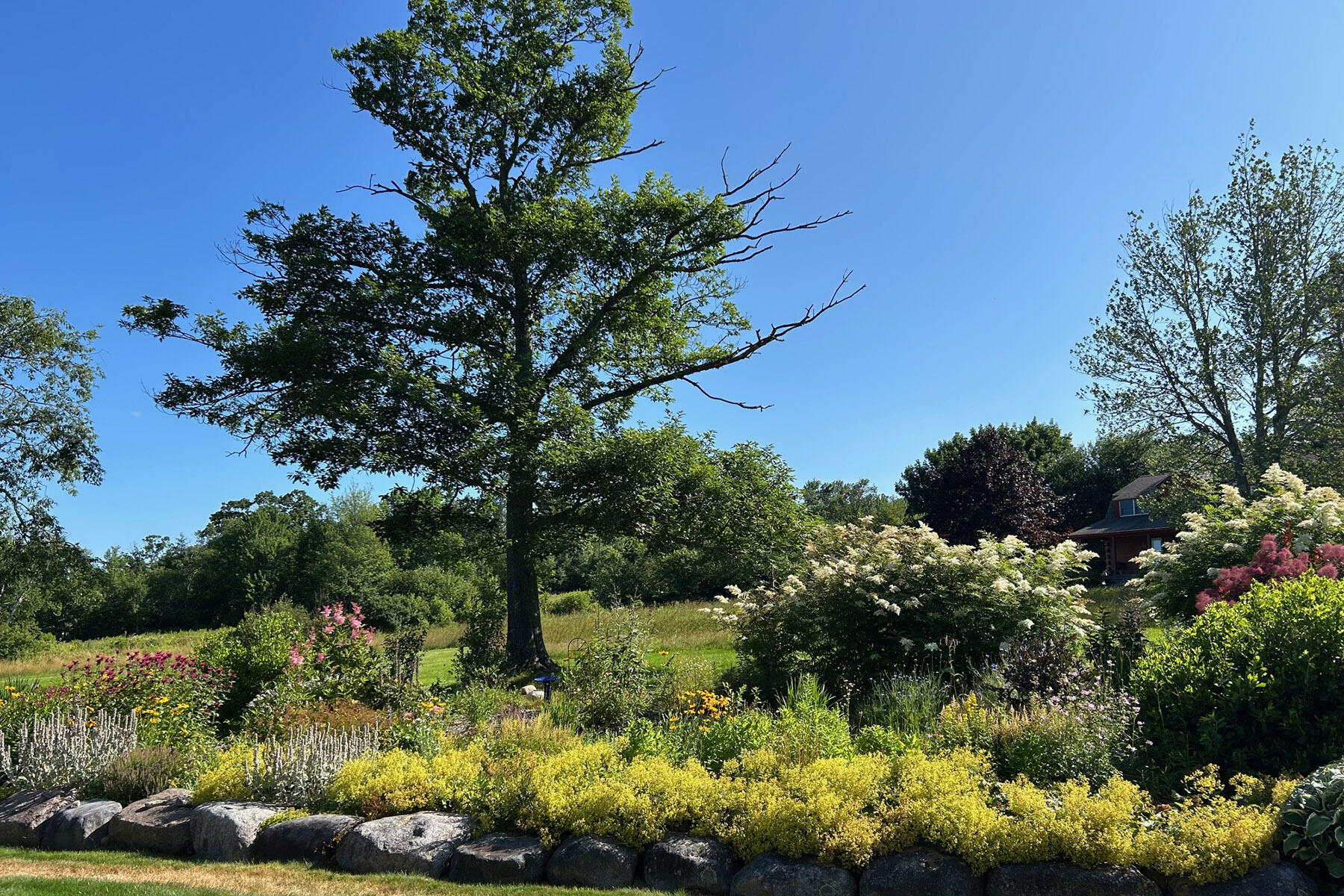 15 Doshen Place Penobscot ME 04476