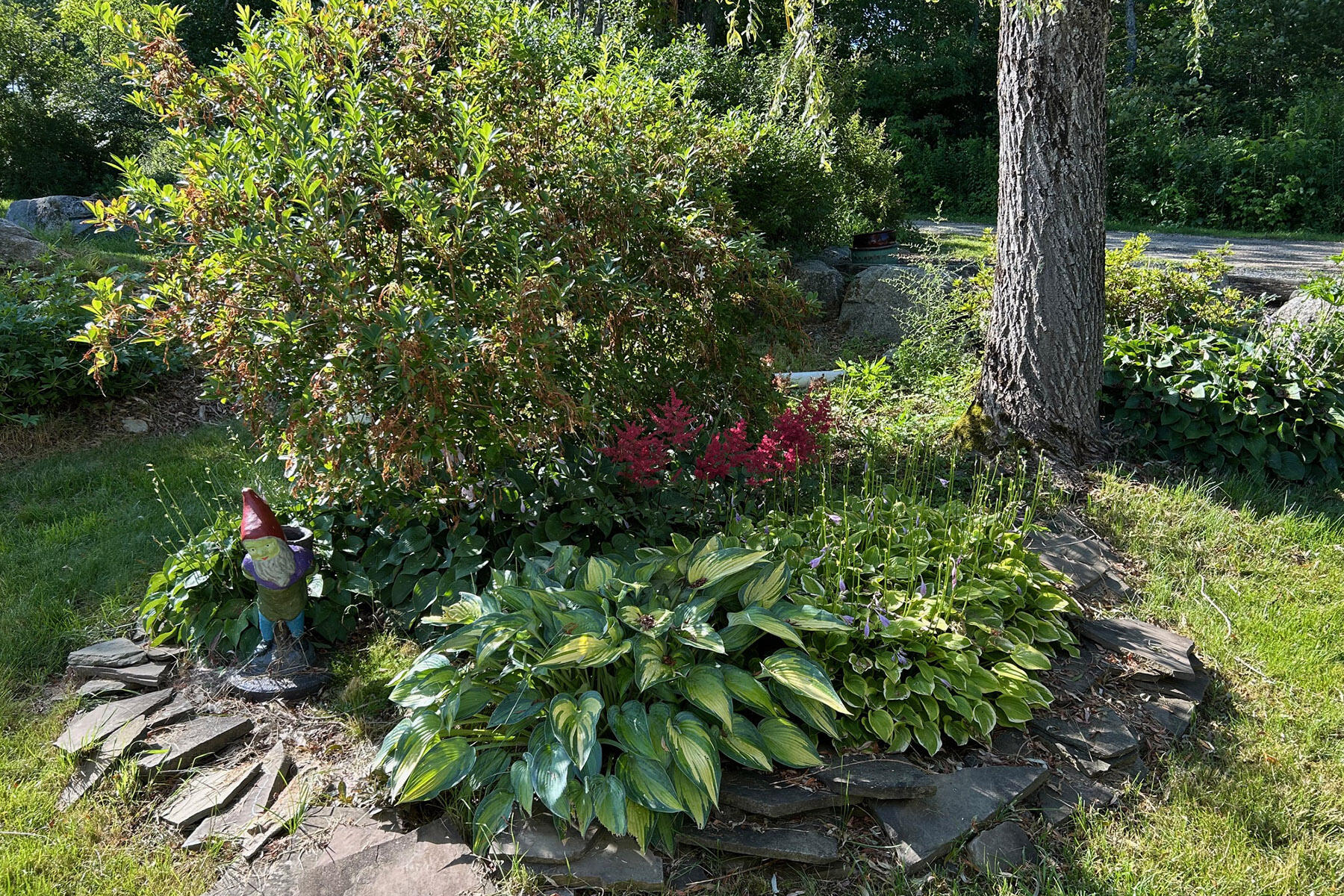 15 Doshen Place Penobscot ME 04476