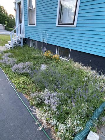 439 College Street Lewiston ME 04240