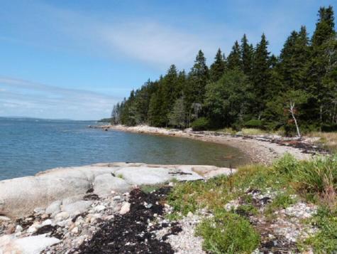 167 Wilderness Shore Road S Steuben ME 04680