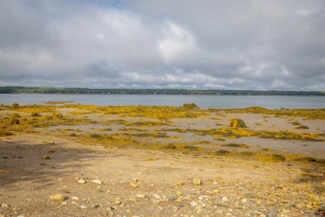 167 Wilderness Shore Road S Steuben ME 04680