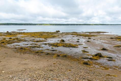 167 Wilderness Shore Road S Steuben ME 04680