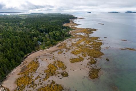 167 Wilderness Shore Road S Steuben ME 04680