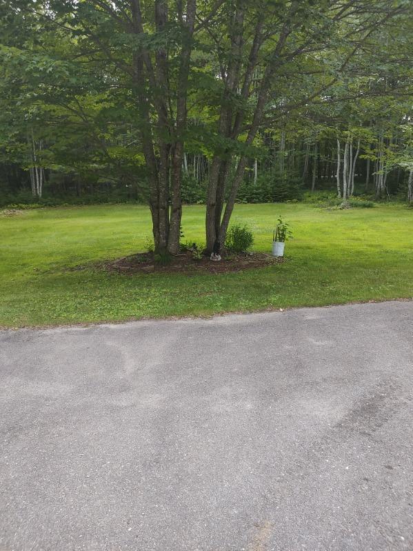 250 Middle River Road Greenbush ME 04418