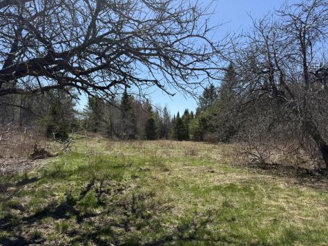 1122 Bucksmills Road Bucksport ME 04416