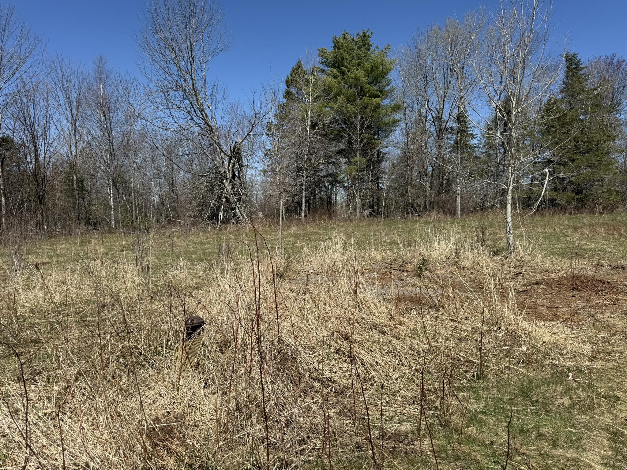 1122 Bucksmills Road Bucksport ME 04416