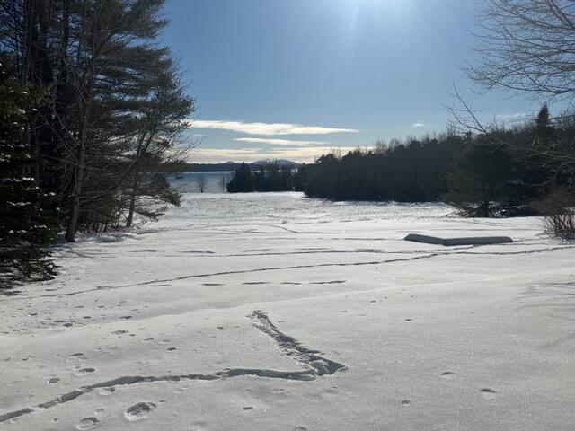 24 Berry Cove Road Lamoine ME 04605