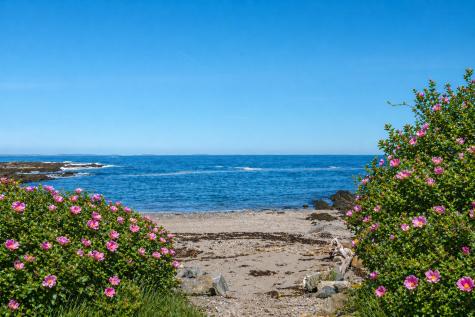 19 Cunner Lane Cape Elizabeth ME 04107