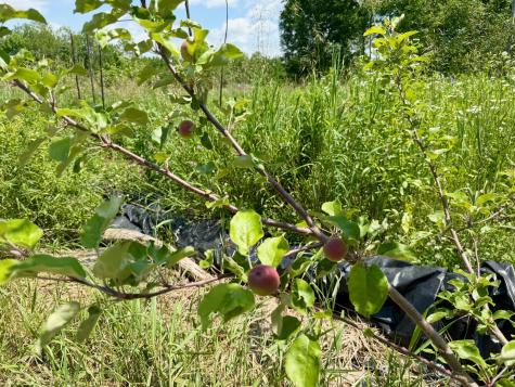 610 E Sangerville Road Sangerville ME 04479