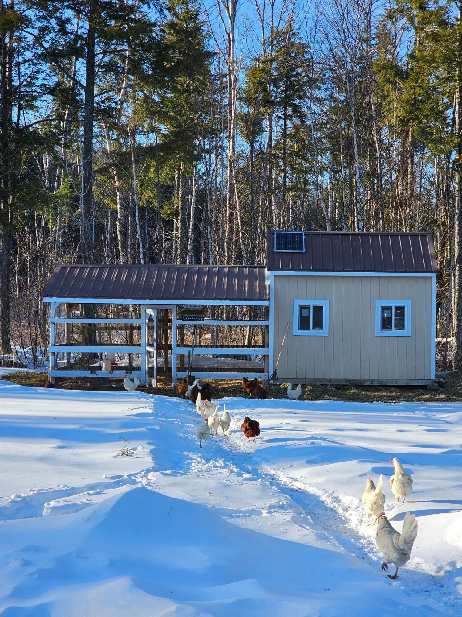 56 Cedar Breeze S Glenburn ME 04401