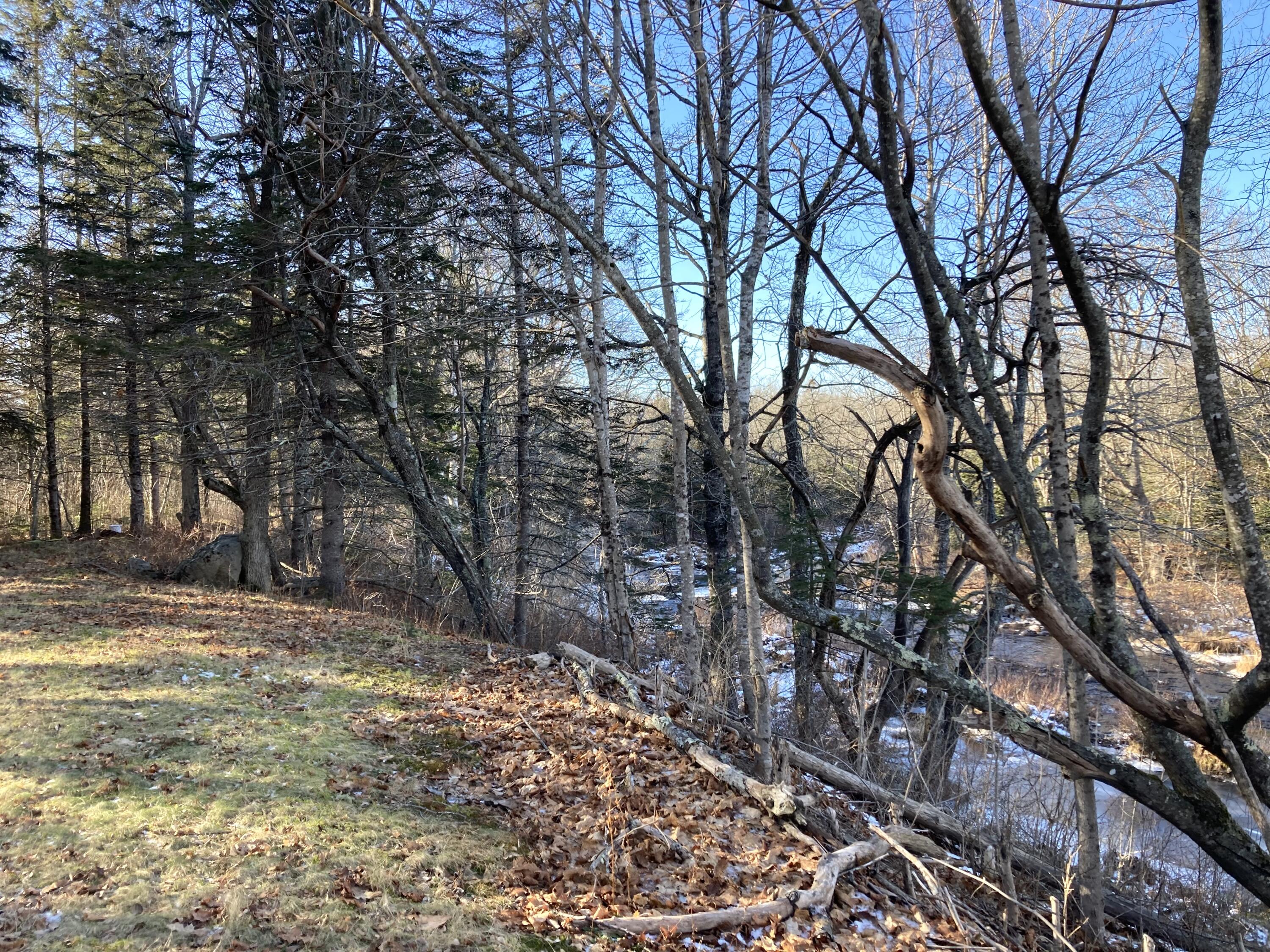 3 Rogers Point Steuben ME 04680